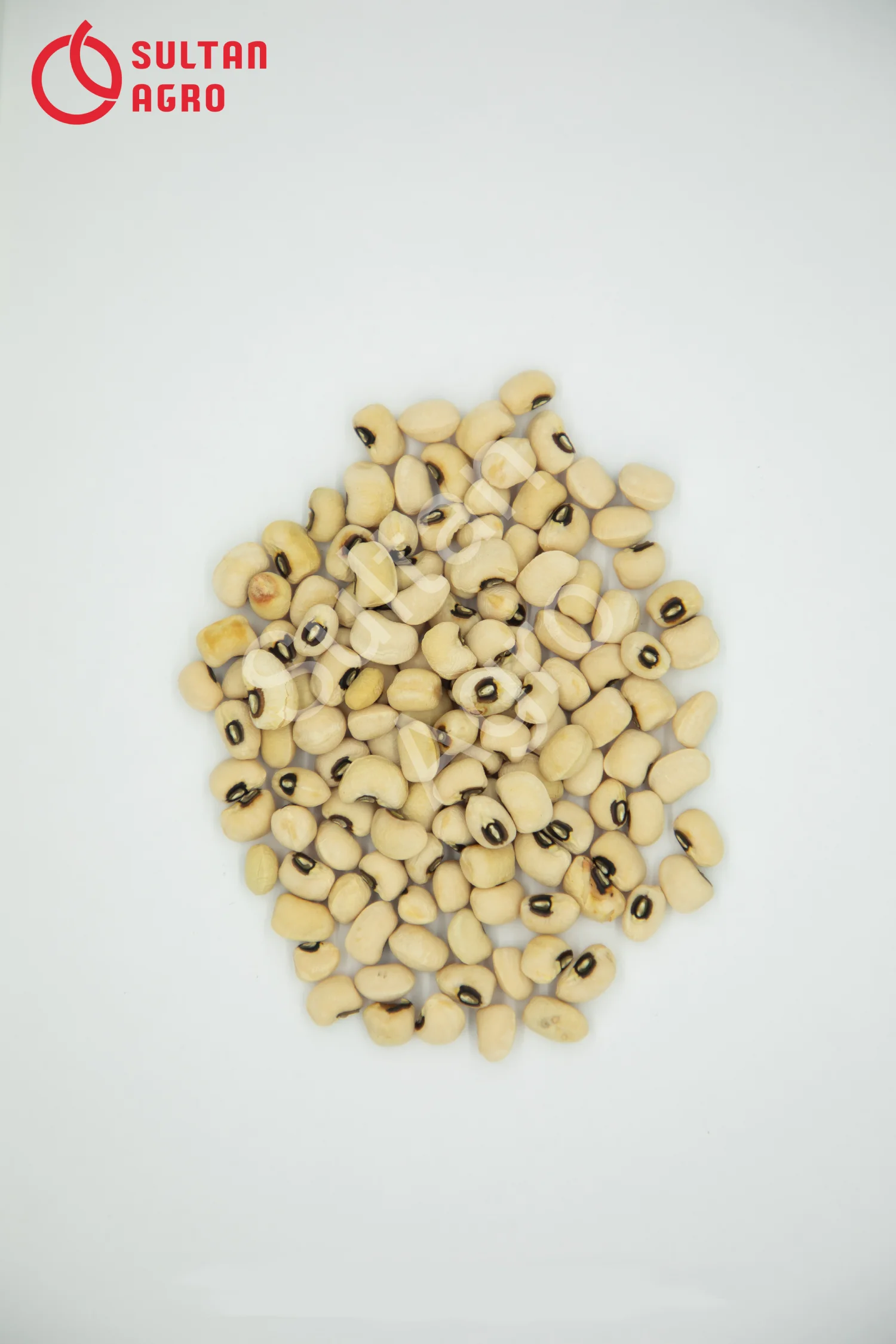 Natural black eyed kidney beans high grade organic kidney beans in bulk from Uzbekistan manufacturer