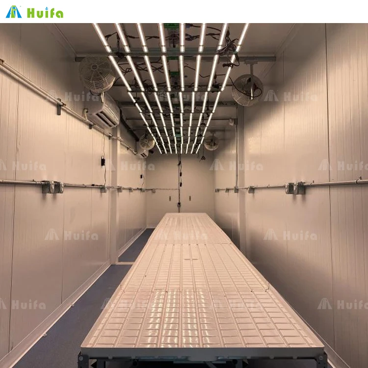 Hemp Hydroponic Aeroponic Plant Factory Solutions Vertical Farming Growing Container