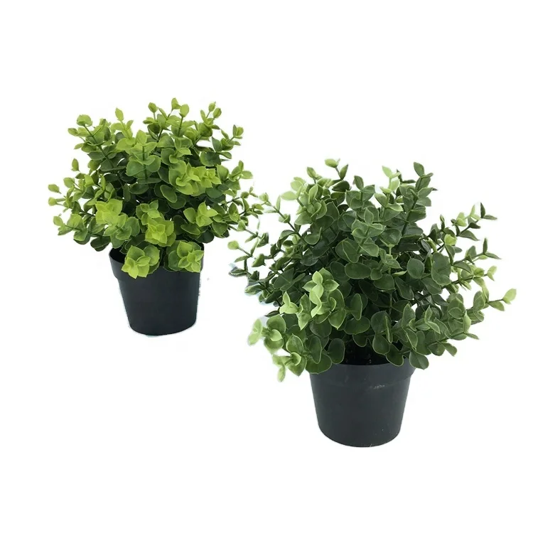 
Amazon fast delivery hot sale Nature touch Artificial eucalyptus leaves bonsai grass potted for home decor indoor decoration 