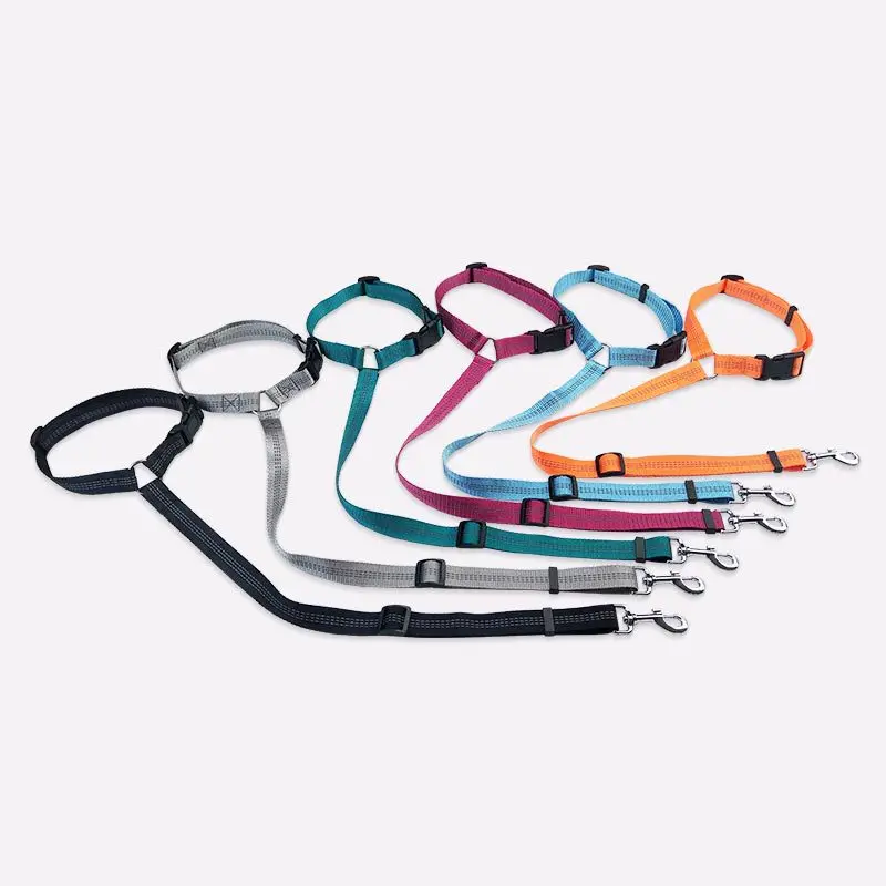 Car Pet Leash Dog Stretch Retractable Safety Belt Pet Supplies