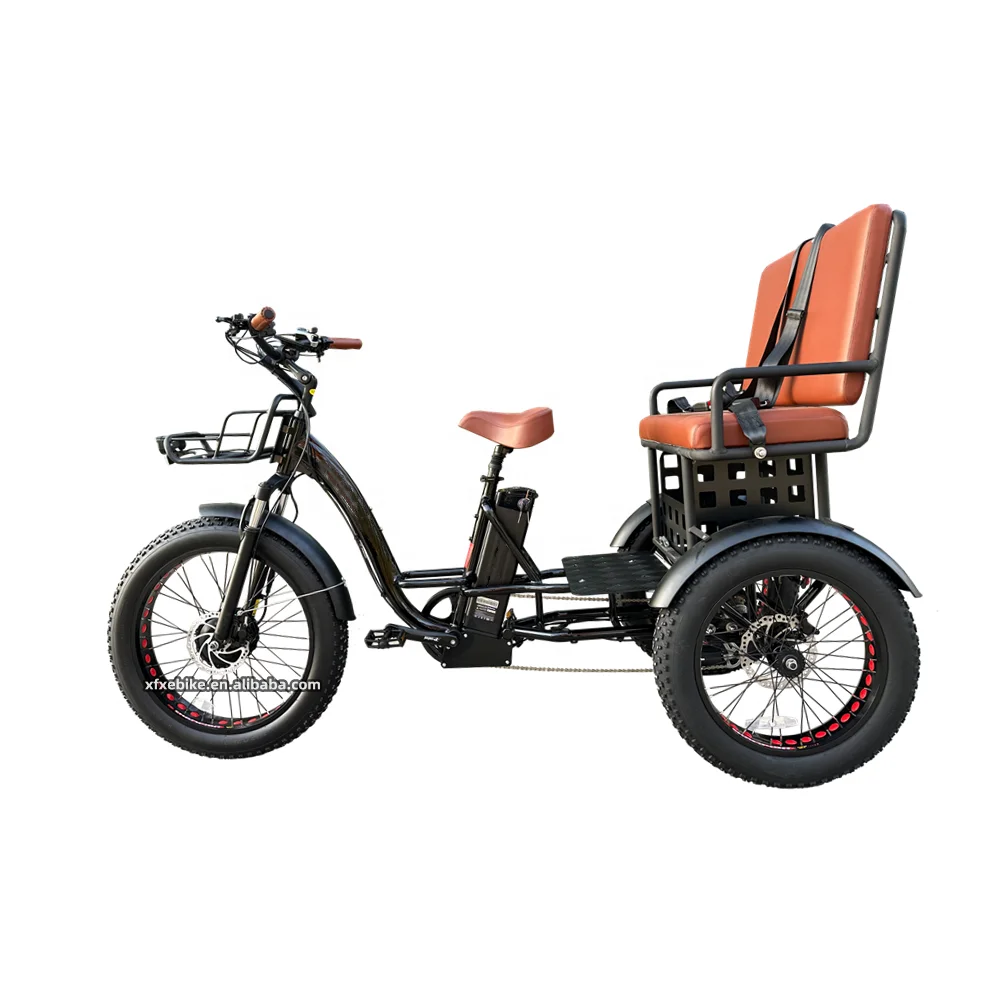 Large Capacity Tricycle 48V 19.2Ah Electric Cargo Bike 750W Rear Hub Motor 24Inch 3 Wheel Far Tire Trike electric tricycles