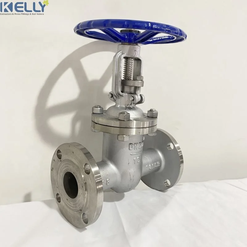 DN50 Flanged Gate Valve PN16 /150LBS 304 Stainless Steel