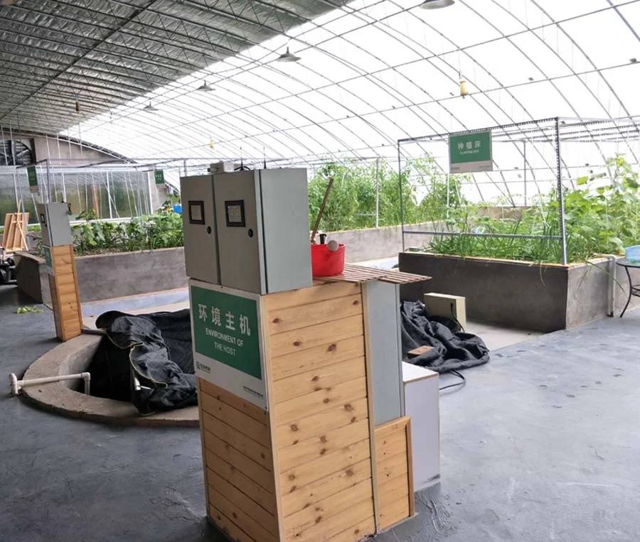 Agricultural Vegetable Cultivation Fish small aquaponics system