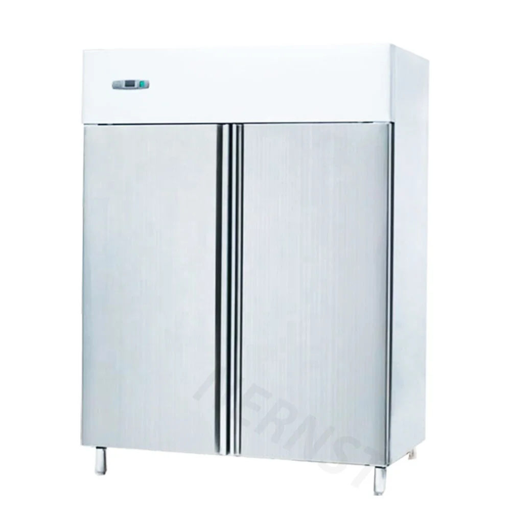 China Manufacturer Wholesale Double Doors Hotel Restaurant Kitchen Equipment Commercial Refrigerator Freezer Refrigeration