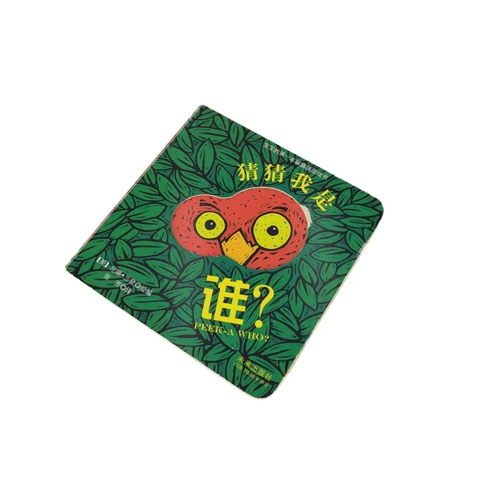 Бесплатный образец, индивидуальная печать книг в твердом переплете, CMYK офсетная печать, лидер продаж, высокое качество