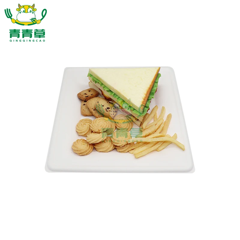 
10inch Compostable Biodegradable bagasse pulp sugarcane tableware plate bowl food tray 