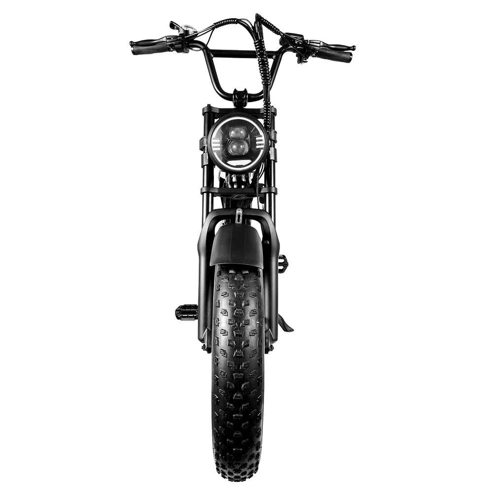 China Factory E-bike Mountain Bicycle FXH009 Double Suspension 750W 1000w Retro Fat Tire Electric Bike Disc Brake in EU/US