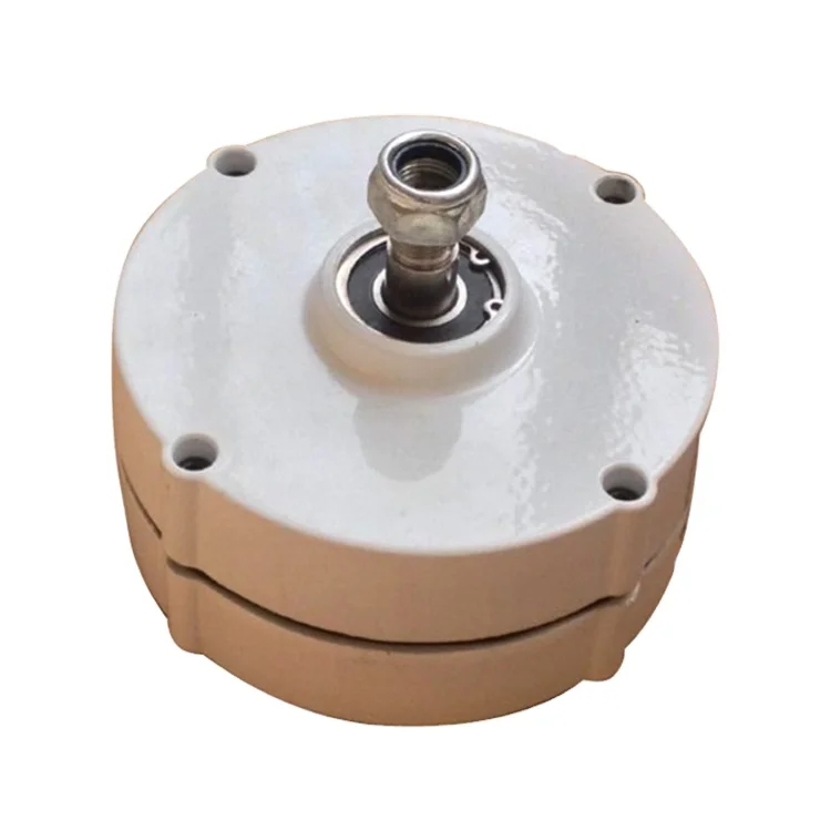 800W 1000W 1kw permanent magnet generator coreless permanent magnet dc generator