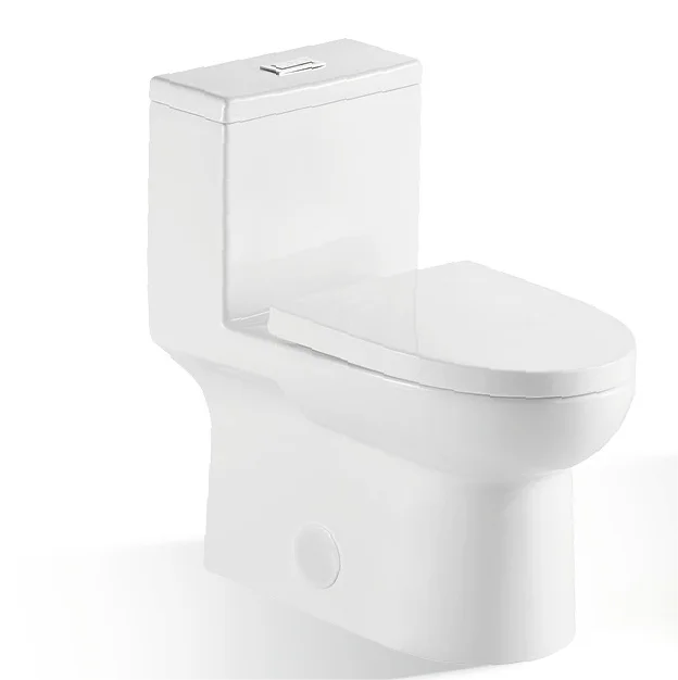 Modern Dual-Flush Toilet Set with Ceramic Sanitary Ware and HDPE Bidet Concealed Cistern Design CUPC Approved Bathroom Ware