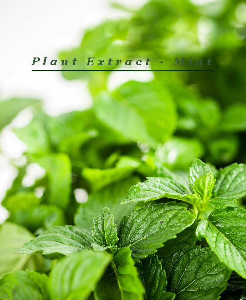 Good Smelling Wholesale peppermint essential oil bulk Organic 100% Essential Oil  For Skin Scent Body Massage Aromatherapy Oil