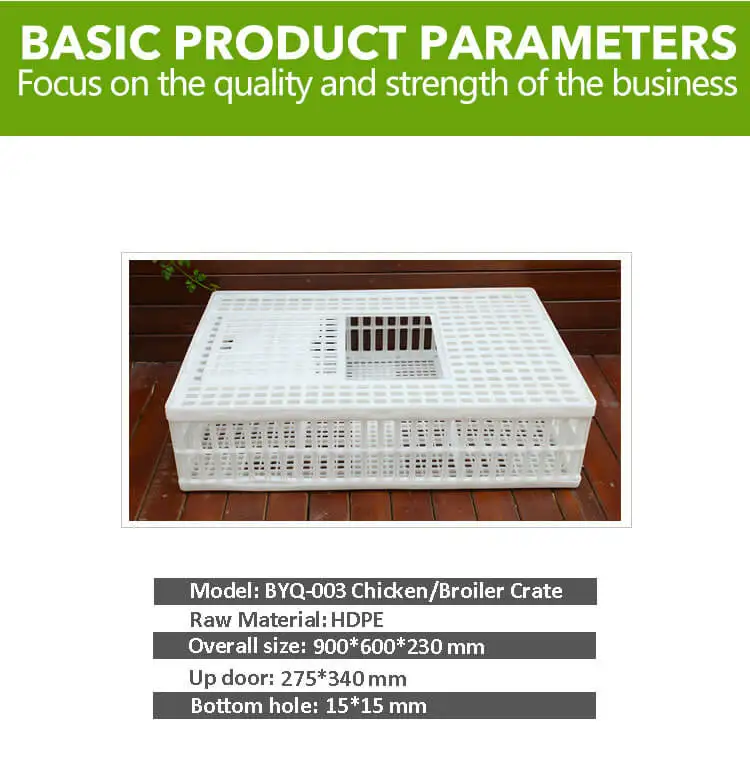 broiler cage (4).jpg