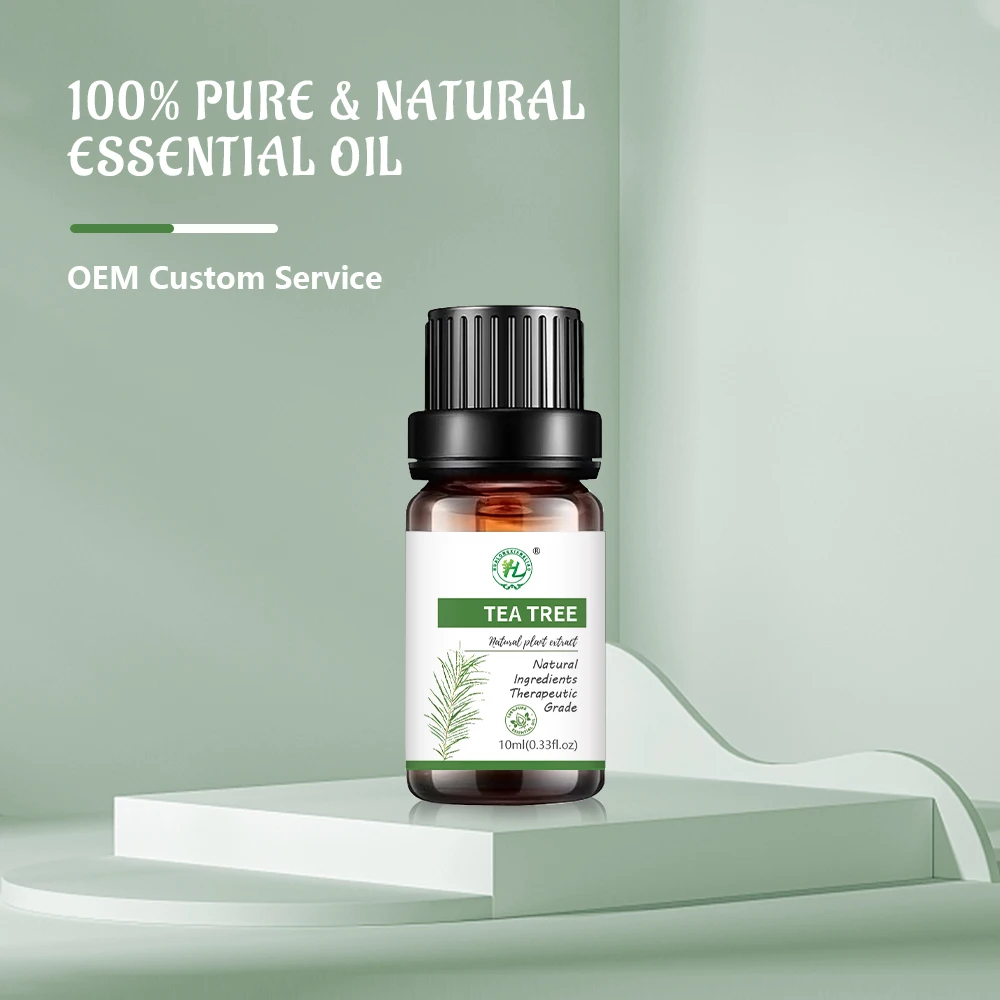 Hl- Natural Plant Extract Tea Tree Essential Oil Manufacturer , 100% Therapeutic Natural Melaleuca Tea Tree Essential Oil