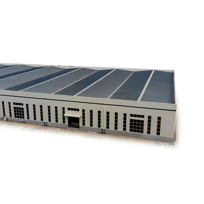 Low Cost Prefabricated Steel Structure Warehouse Workshop Hangar Shed Building