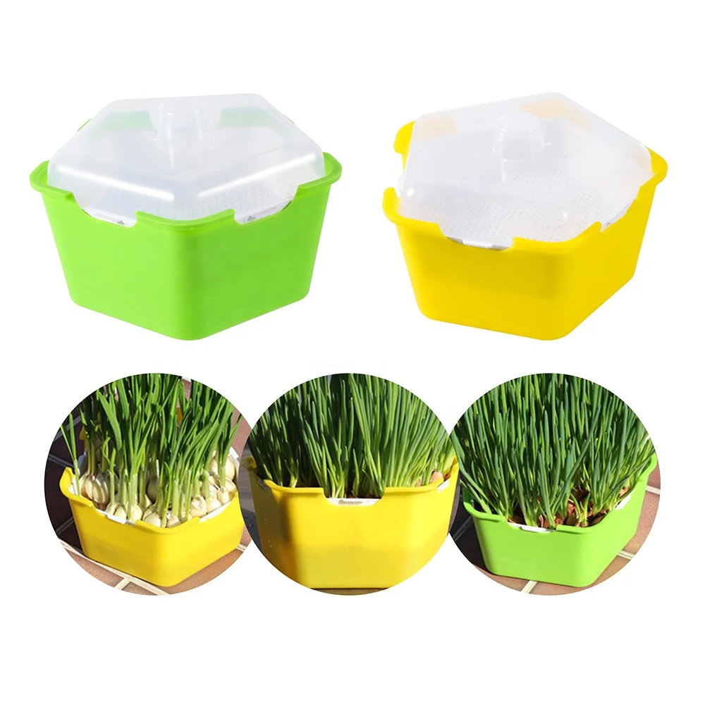 Pentagonal Sprouting Bean Pea Hydroponic Seedling Starter Tray Nursery Grow Germination Planting Box