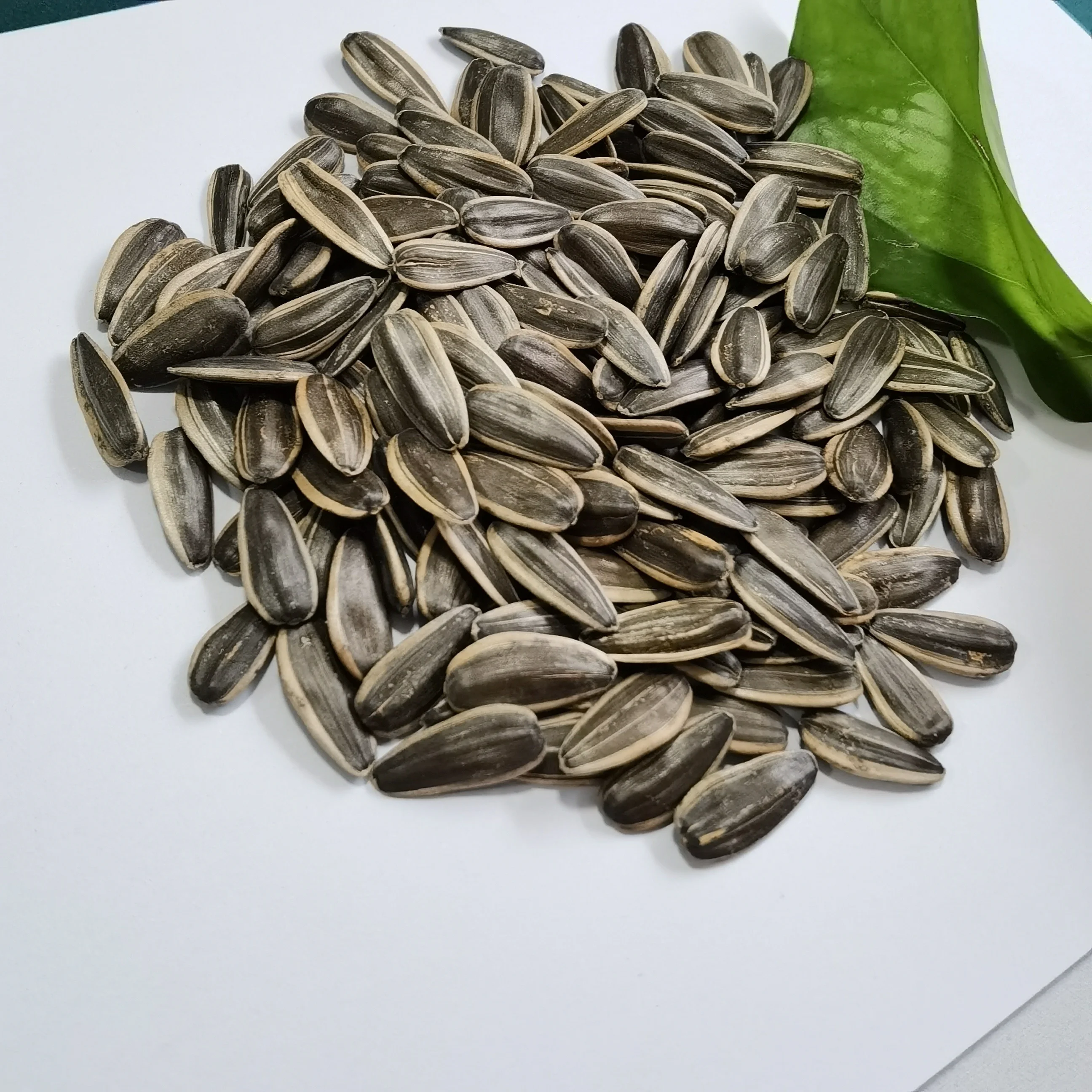 Factory direct high-quality black sunflower seeds raw sunflower seeds 361