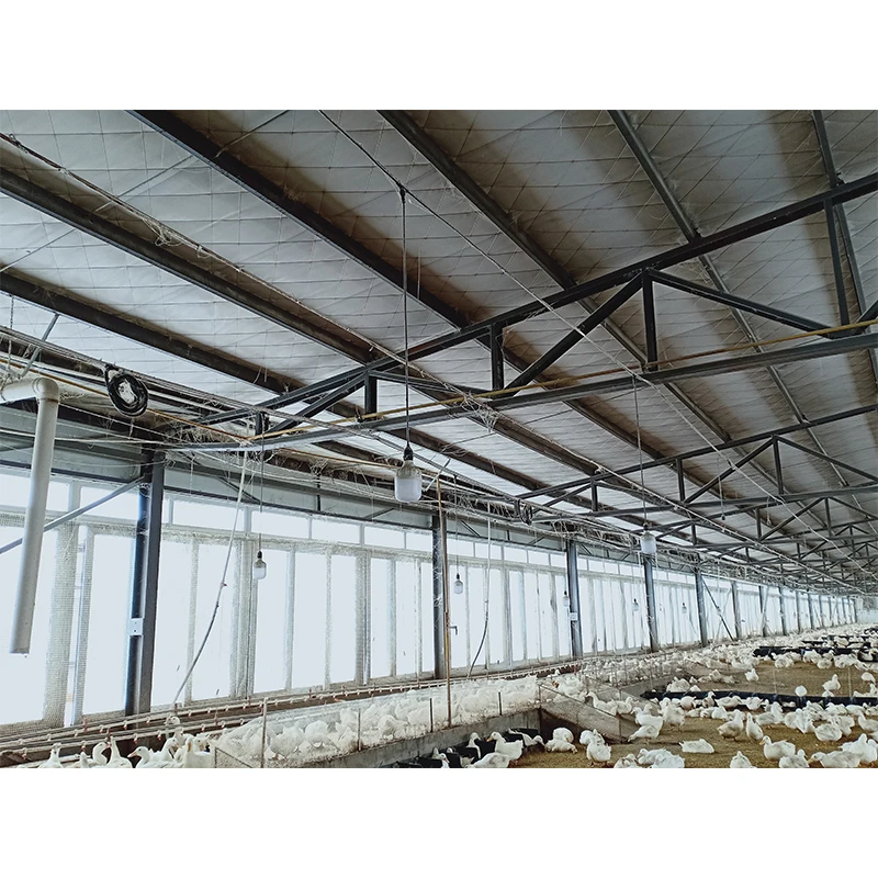 Низкая цена распродажа китайский дизайн бесплатный недорогой сборный стальной конструкции склад на