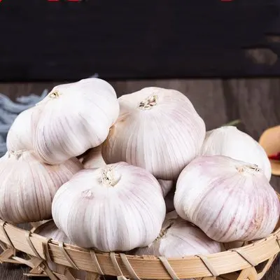 Chinese Fresh Garlic  Exporter High Quality Garlic Supplier in China  Shangdong White Garlic 6 cm