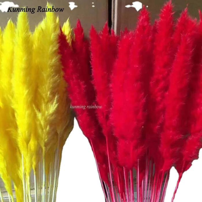 Wholesale Dry Flowers Wedding Dried Decorative Flower Best Natural Real Dried Pampas Grass for art  table flowers