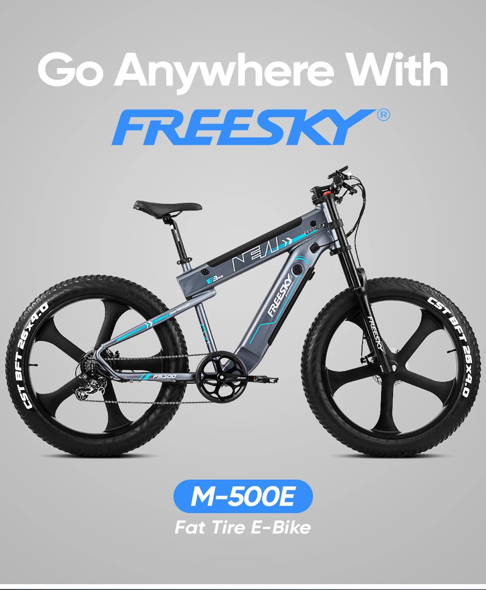 Freesky New patent electric bicycle Hot high quality e bike 48V 500W 750W dual battery hidden fat tire electric bike