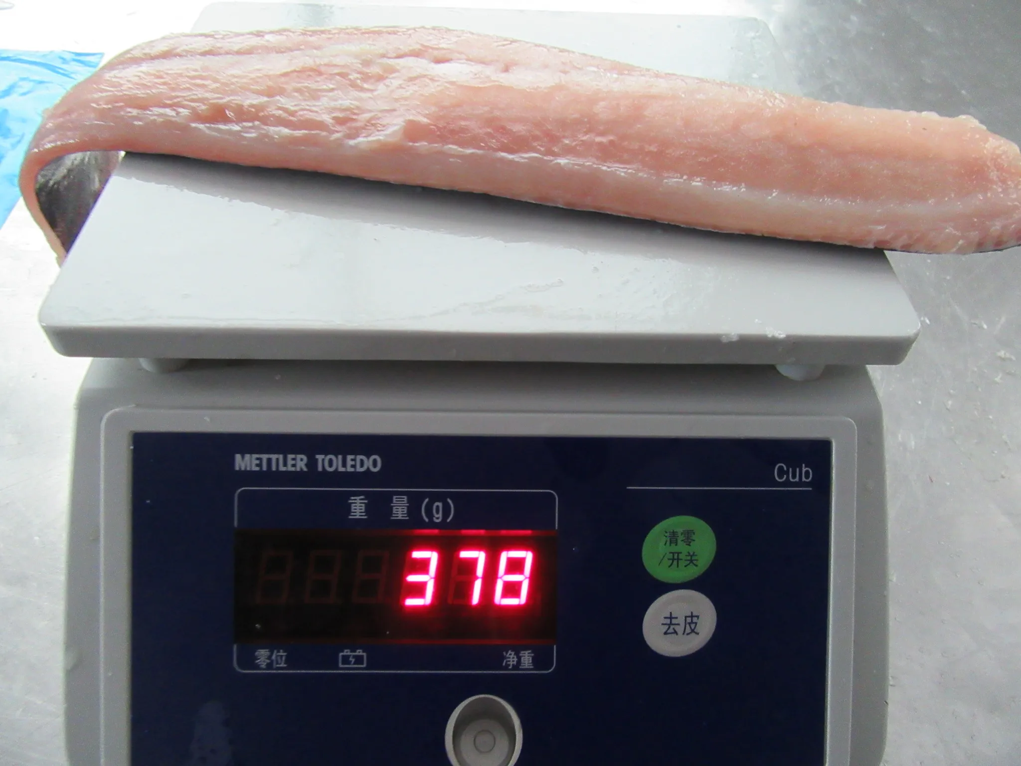 
Frozen Mahi Mahi fillets fish seafrozen IQF for market 