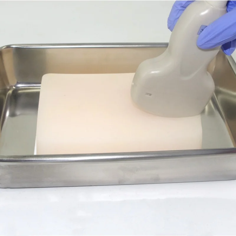 Медицинская научная нервная Блокировка обучающая модель для обучения ультразвуковому наведению модуль инъекции нервного блока