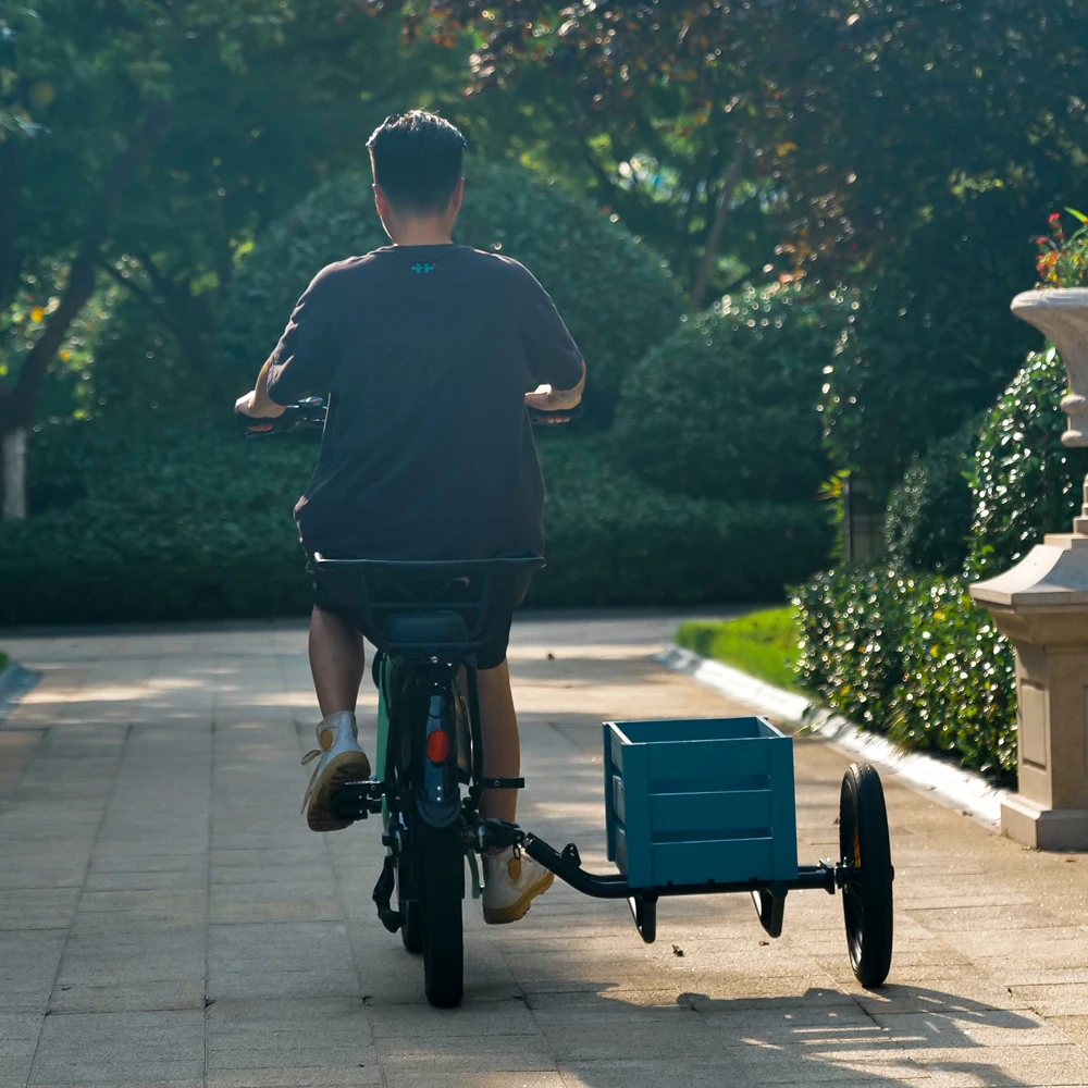 Step Through City Ebike Sidecar Cheap Price Electric Tricycle Children Seat Side car 250w for Sale