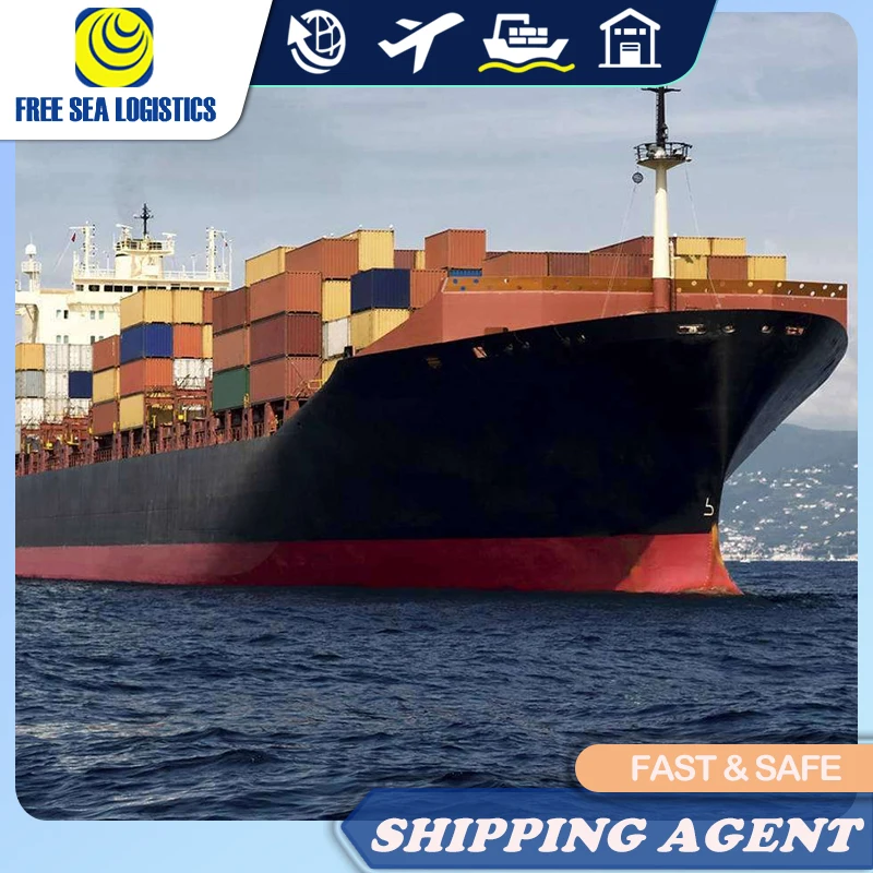 Cheaper  FCL LCL Sea Shipping freight forwarder from China to MIAMI by FOB DDP DDU