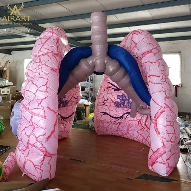 Giant PVC Inflatable Medical Lungs with Lung Tube Model
