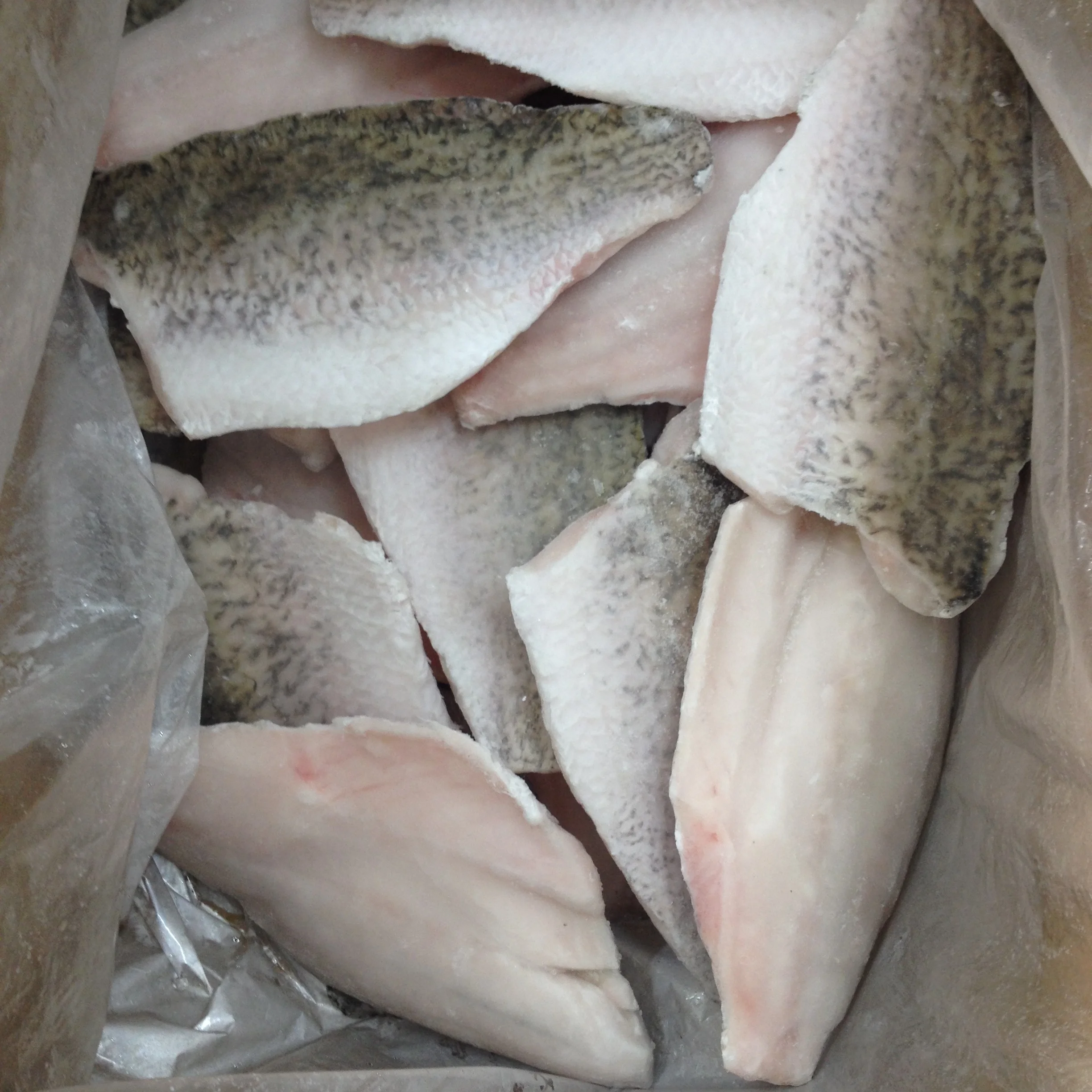 Indonesia Frozen Barramundi Fillet WR