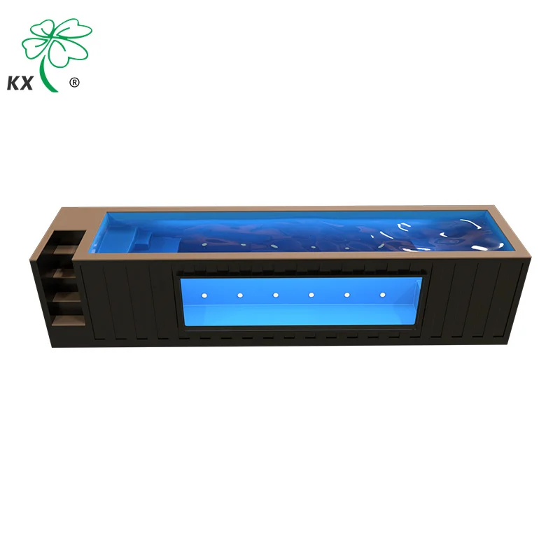 Factory customization fiberglass swimming pool in ground shipping container restaurant prefab container swimming pool 20ft 40ft
