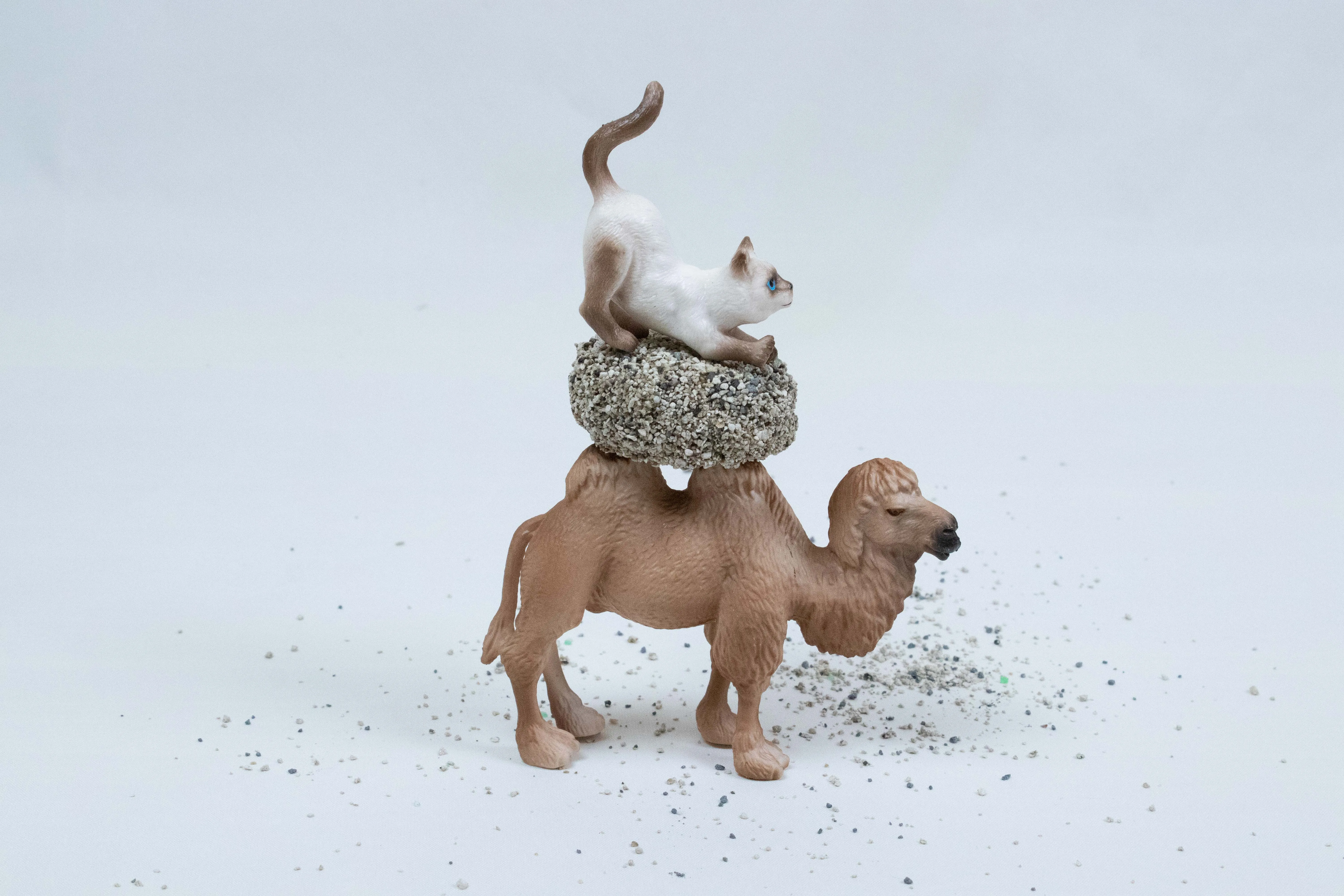 Pan&Sun Litter For Cats Easy To Clean Bentonite Cat Litter Sand High Quality No Chemical Contains