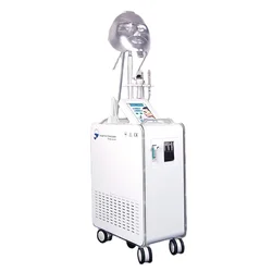 AYJ-Y80 (CE)  RF Facial Care Oxygen Therapy Facial Machine For Skin Cleaning  Scalp Facial Treatment