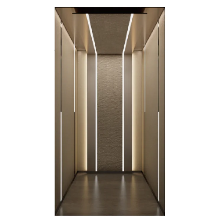 Home Elevator Lift Hydraulic Residential Lift Small Elevators for Homes Villa