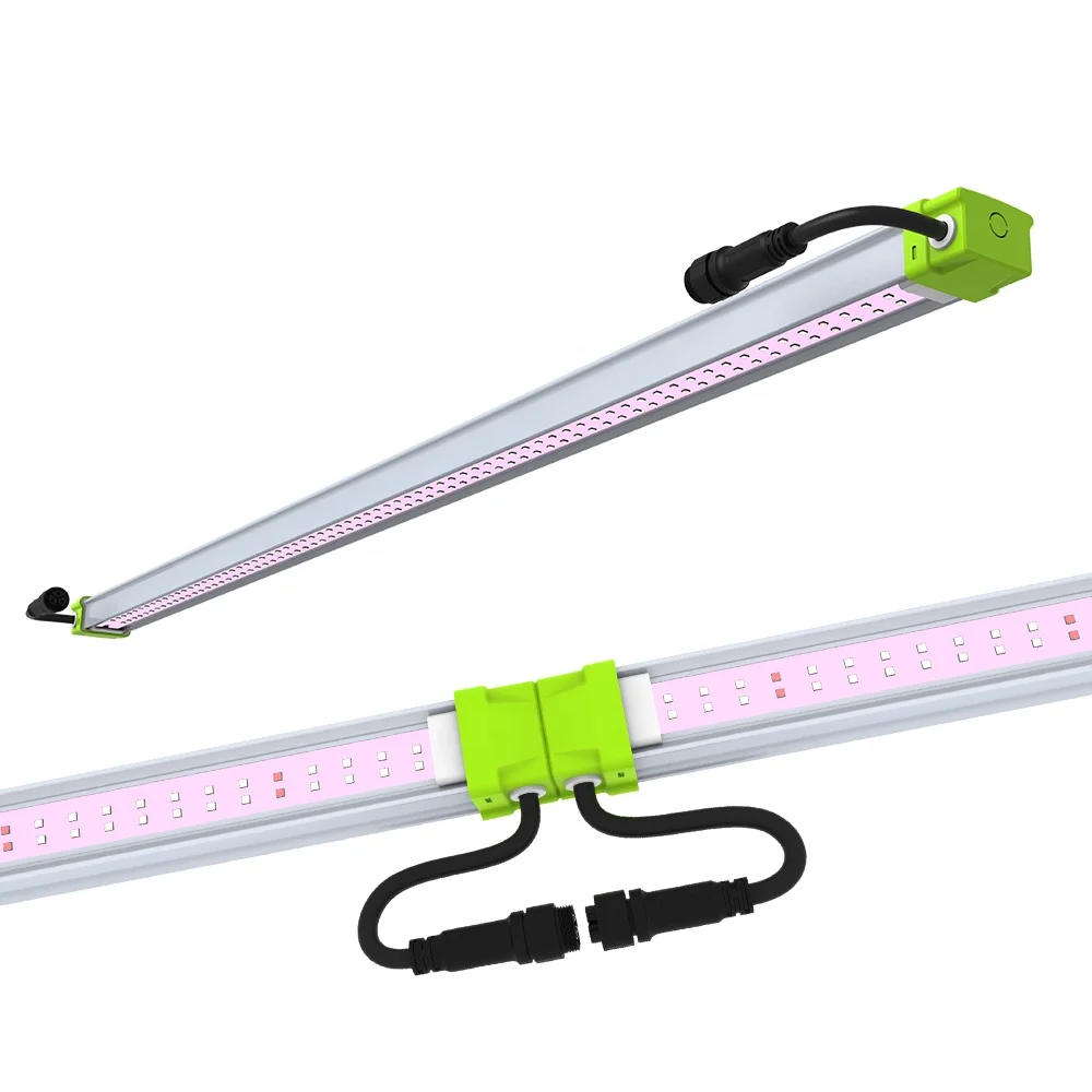 BLE 50W Samsung 301b with Red Blue LED Grow Light for Home Grower Tent to Supplement Lighting