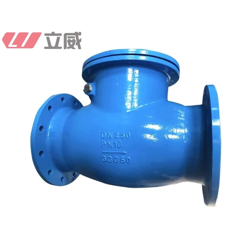  bs dn100 pn16 ductile iron rubber swing check