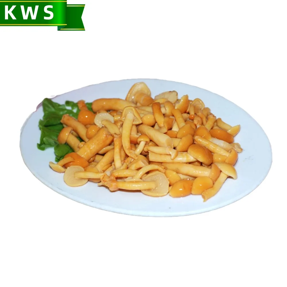KWS High quality canned marinated nameko mushroom