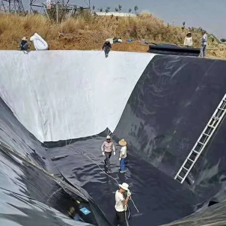 HDPE Geomembrane Aquaculture Geomembrane Polymer sheet Geomembrane