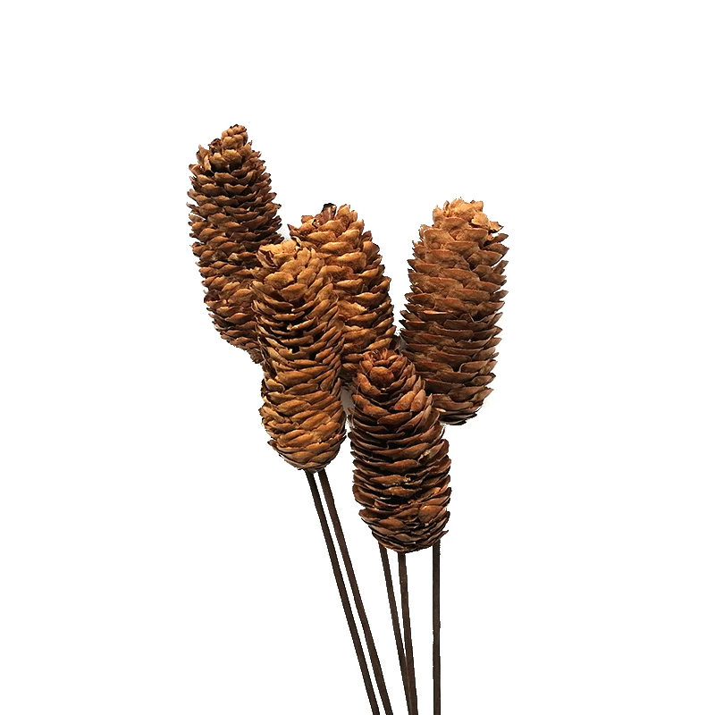 Amazon wholesale flowers natural dried pine cone florist supplies for interior home decorative