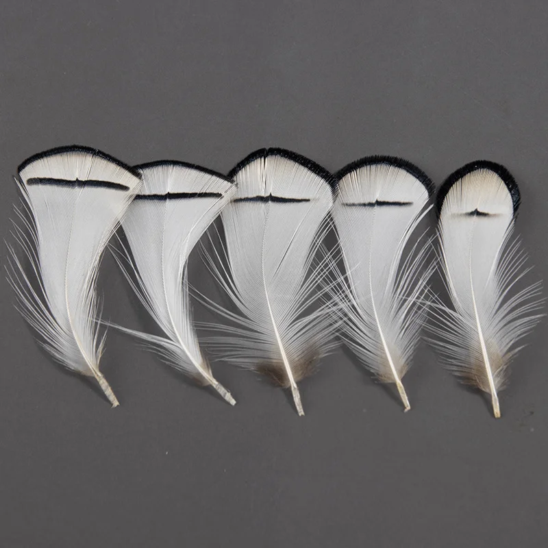 NATURAL WHITE Lady Amherst Pheasant Tippet Feathers, 5-7cm Natural Feathers For Wedding Decorations