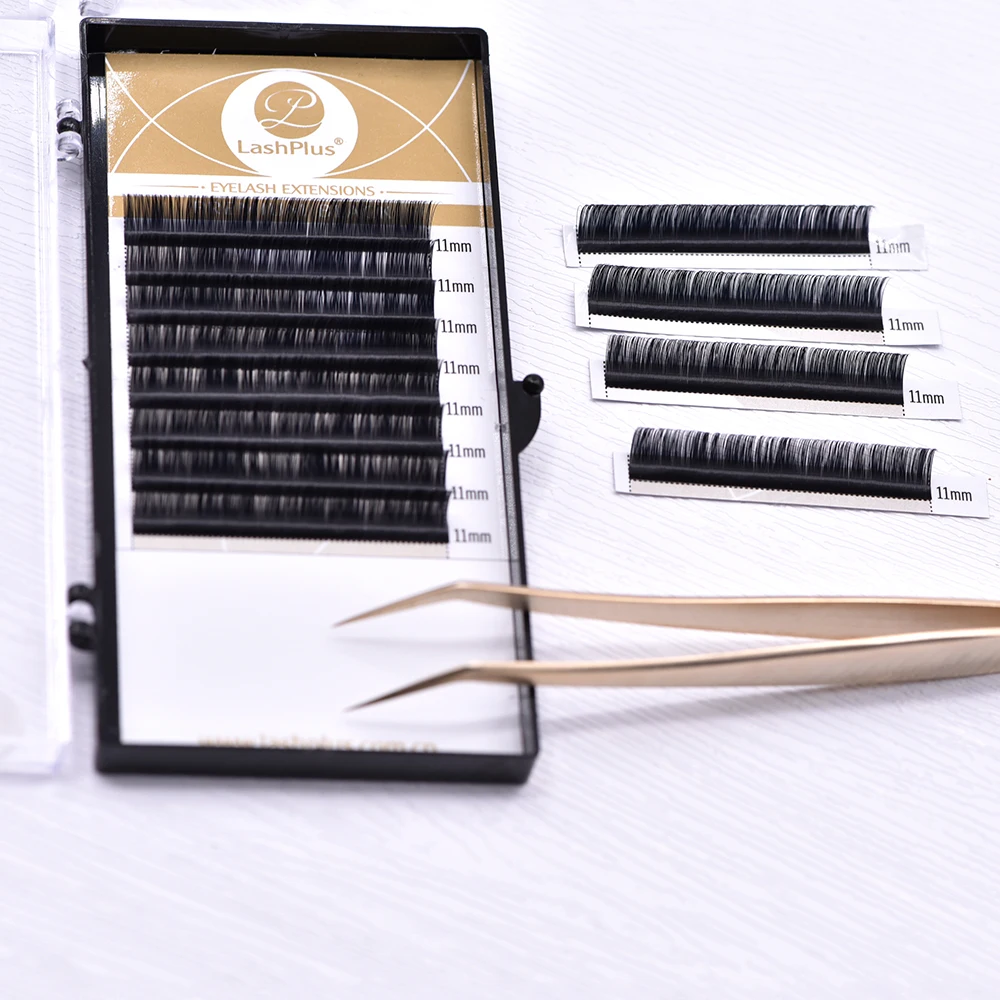 LashPlus Natural Long Individual C CC D DD Matte Black PBT Fast Dispatch Classic Eyelash Extension Lash Trays Wholesale Private