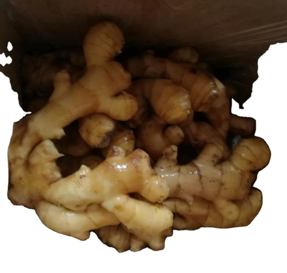 2022 new crop of ginger coming on Nov.