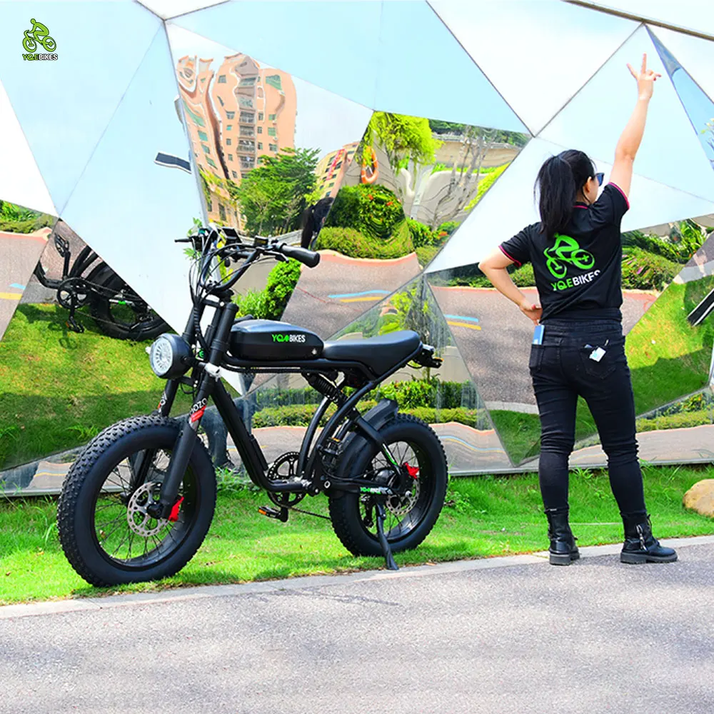 YQEBIKES Dropshipping Factory OEM Single/Dual Motor Ebike 2000W 50Ah Electric Mountain Super Cool Hybrid Bike Electric Bicycle