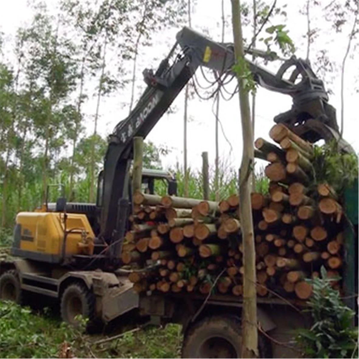 Forest wood loader machine wood log loader sale without trailer BD95W