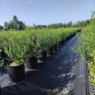 Heavy Duty Farm Garden Weed Barrier Landscape Fabric Ground Cover Block Gardening Weed Control Mat