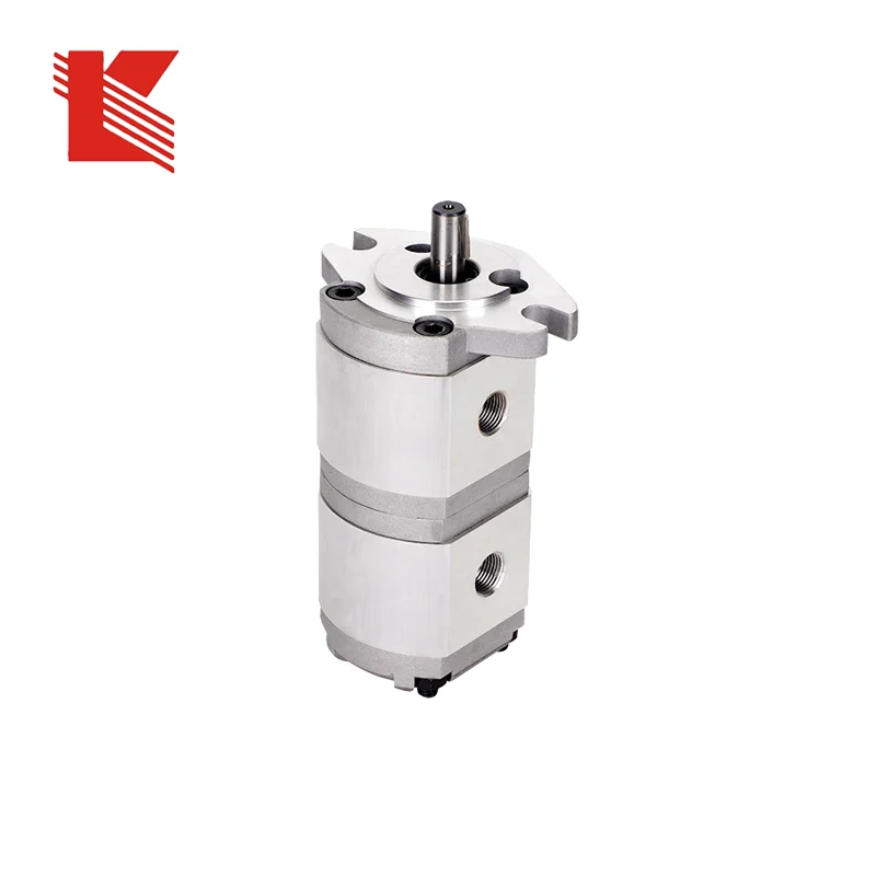 Double acting gear pump, tandem hydraulic gear oil pump, double gear pump