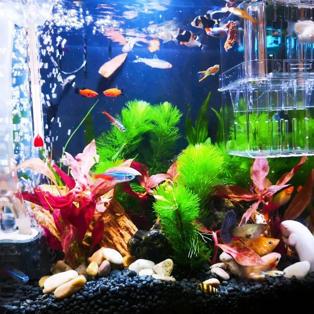 Solar Panel Powered Mini  Lazier Aerator Happy Pet Fish Garden Pond Aquarium Oxygen Bubble Kit Auto Air Pump