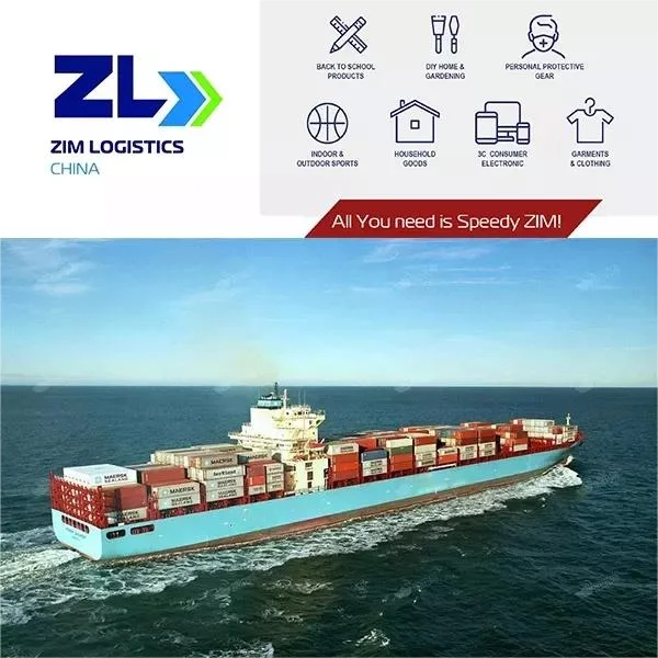 Amazon FBA by Sea Shipping 20FT 40FT Fresh Reefer Container Ocean Freight Forwarder Logistic DDP Service China To Canada UK USA
