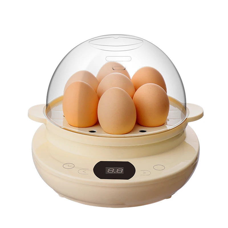 Multifunctional household kitchen double-layer electric 2 in 1 egg cooker which can cook eggs quickly