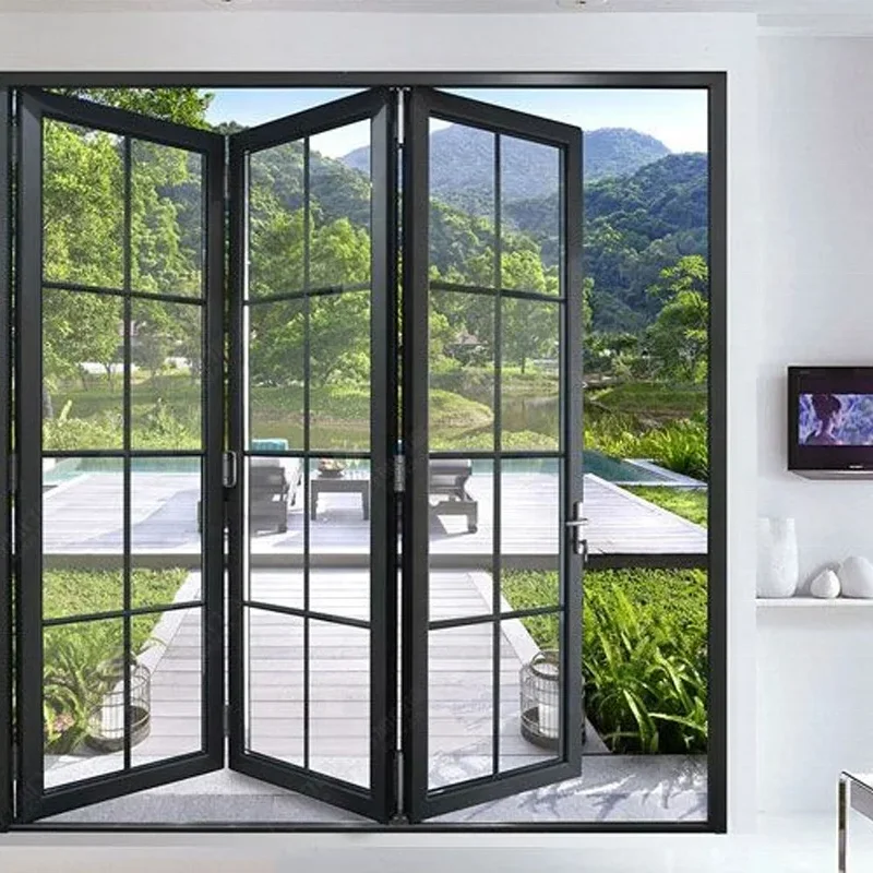 Горячие продажи железные двери межкомнатные стеклянные двойные