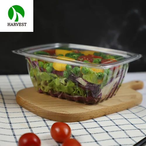 Disposable plastic square hot sale fast food box for takeaway